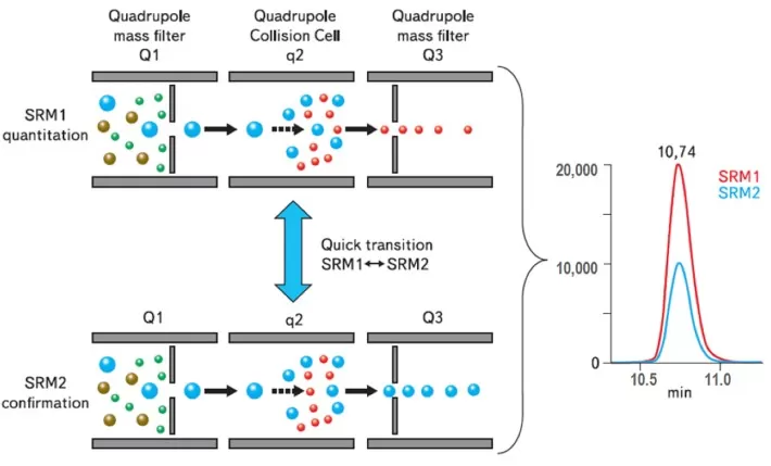 Triple quadrupole mass spectrometer operating in Multiple Reaction Monitoring MRM mode showing Q1 collision cell and Q3 configuration